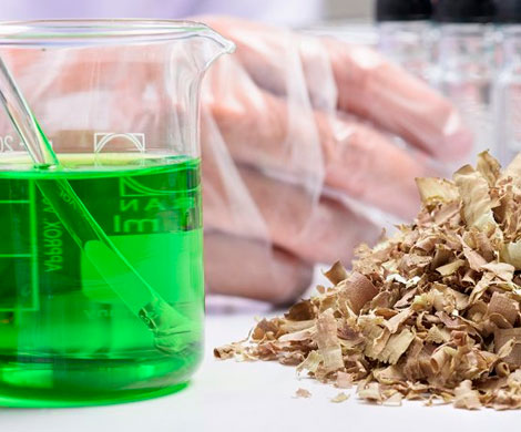 Российские ученые научились превращать опилки в биотопливо