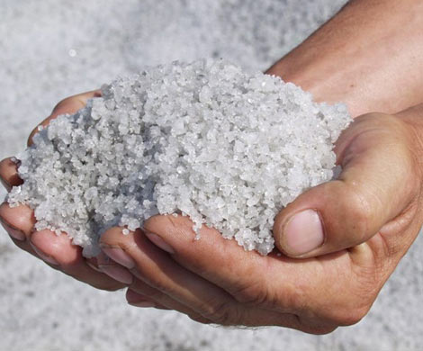 Российский пищепром увеличил расход соли на 17%