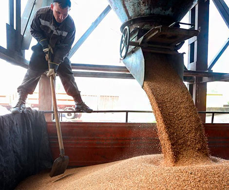 Российским аграриям не хватит вагонов для экспорта зерна