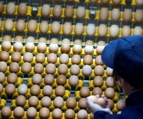 Россия ответила на украинский запрет транзита яиц