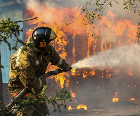 Россия в огне: 18 регионов охвачены пожарами, вводятся режимы ЧС, пламя охватило 44 тысячи гектар