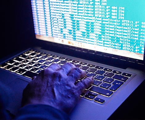 Россиян предупредили о новом виде интернет-мошенничества Россиян предупредили о новом виде интернет-мошенничества