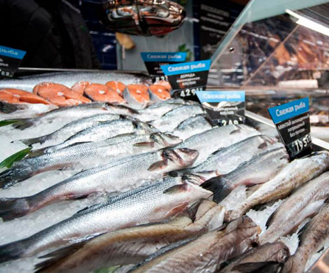 Россиян предупреждают о возможном дефиците рыбы