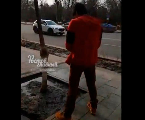Ростовчане возмутились парнем в центре города, удобряющим деревья со спущенными штанами