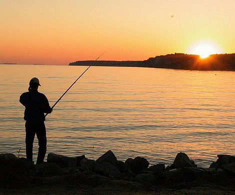 Рыбалка укрепляет здоровье и защищает от инфаркта