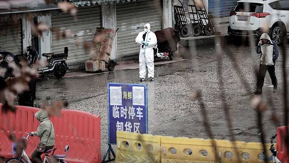 Си Цзиньпин не знает, кого винить за вспышку коронавируса в Шанхае