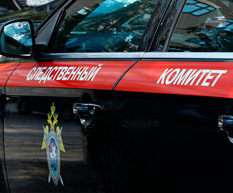СК возбудил дело после смерти новорожденной девочки в Хабаровске СК возбудил дело после смерти новорожденной девочки в Хабаровске