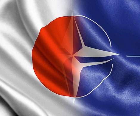 СМИ сообщили о предложении Японии присоединиться к НАТО