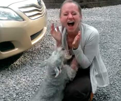 Собака упала в обморок от радости при встрече с хозяйкой после двух лет разлуки 