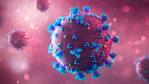 Соединенные Штаты снова призвали к расследованию причин возникновения коронавируса