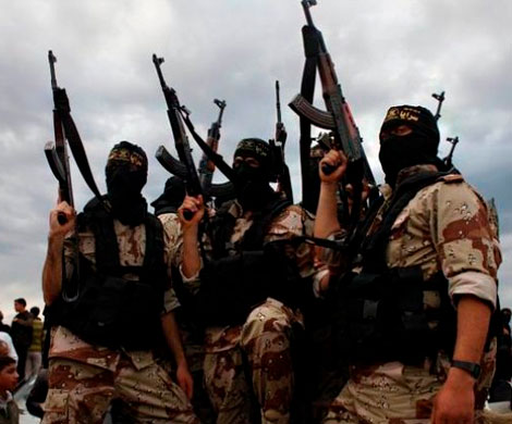 США опасаются восстановления могущества «ИГИЛ»