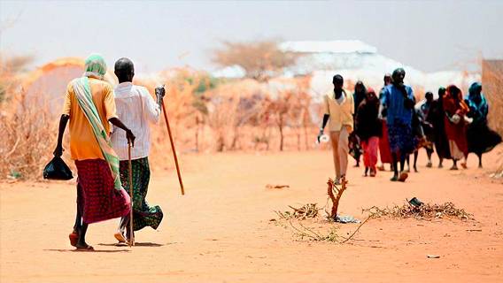 США призвали увеличить помощь пострадавшей от засухи Восточной Африке
