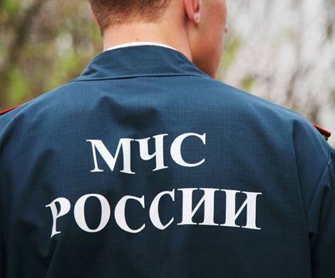 «Старики-разбойники» «Старики-разбойники»