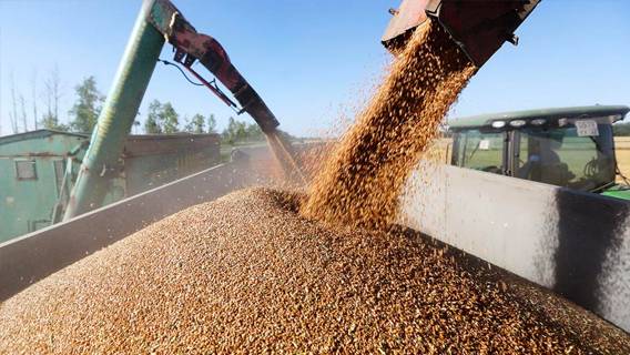Суда, связанные с крупнейшим российским экспортером зерна, занимались перевозкой украденных украинских грузов