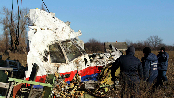 Сведения детектива Реша по MH17 нарушат в суде сценарий Запада Сведения детектива Реша по MH17 нарушат в суде сценарий Запада