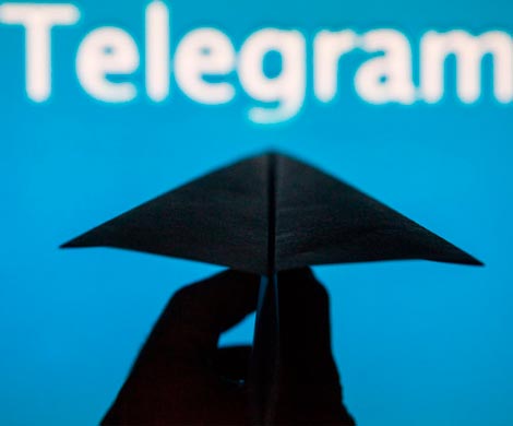 Telegram подал вторую жалобу в ЕСПЧ на блокировку в России‍