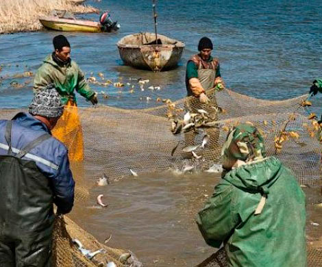 Теневые рыболовы замаскировались под коренные народы