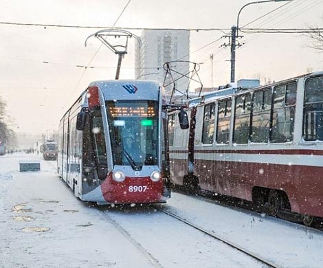 Трамвай насмерть сбил пешехода на улице Шаврова‍