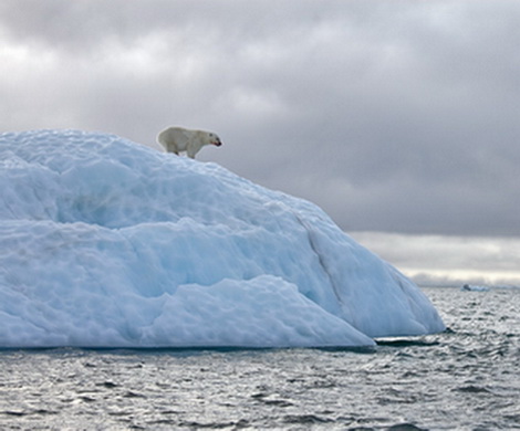 Туризм в Арктике: экстрим для миллионеров?