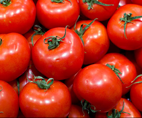 Участники рынка заподозрили Минск в массовом реэкспорте турецких томатов