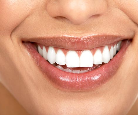 Ученые допускают возможность регенерации зубов у взрослых
