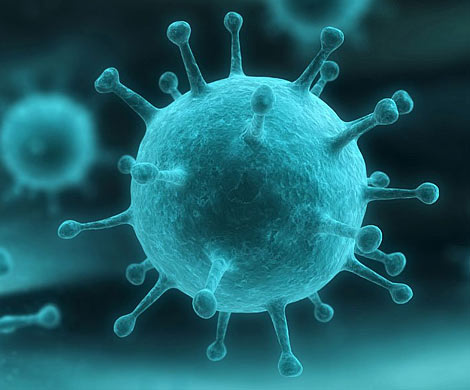 Ученые: Иммунитет к разным видам гриппа зависит от года рождения