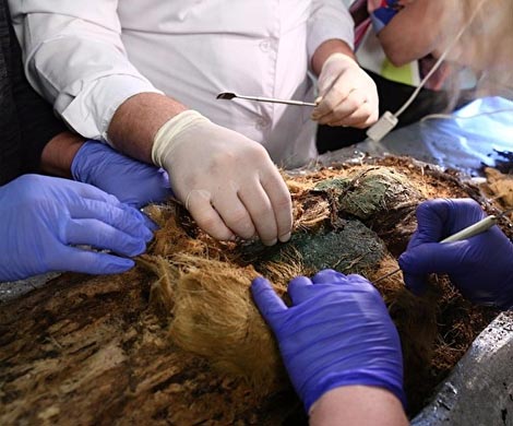 Ученые изучат рацион предков Западной Сибири, исследовав ямальские мумии
