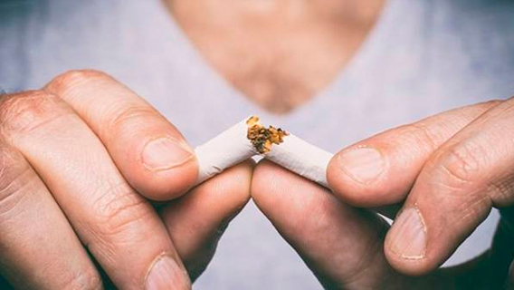 Ученые обнаружили вызывающие отвращение к курению клетки мозга Ученые обнаружили вызывающие отвращение к курению клетки мозга