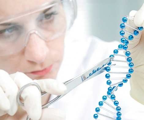 Ученые планируют создать генетически модифицированного человека с IQ в 1000 баллов Ученые планируют создать генетически модифицированного человека с IQ в 1000 баллов
