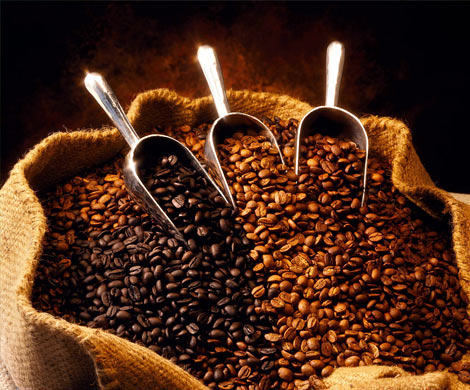 Ученые предсказывают снижение урожая кофе