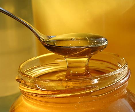 Ученые развеяли мифы о полезности и вредности мёда