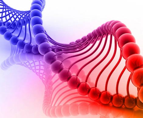 Ученые смогли изменить генетический код