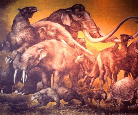 Ученые уверены, что в вымирании древних животных виновен первобытный человек