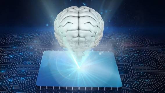 Ученые хотят создать биологический компьютер с использованием клеток человеческого мозга