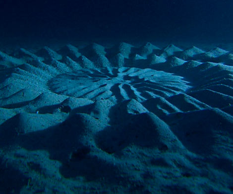 Учёные: на дне океана находится установка, испускающая странные звуки