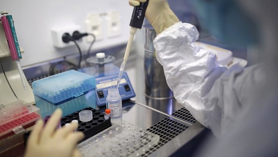 Учёным удалось создать антитела, нейтрализующие COVID-19 Учёным удалось создать антитела, нейтрализующие COVID-19