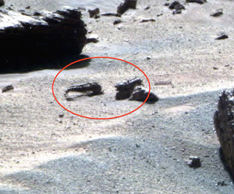 Уфологи обнарижули на Марсе скорпиона и креветку