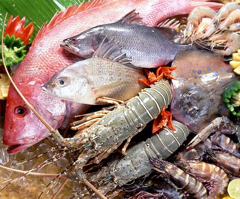 Употребление в пищу морепродуктов опасно для женщин детородного возраста