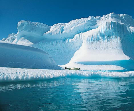 Уровень льдов в Арктике увеличивается