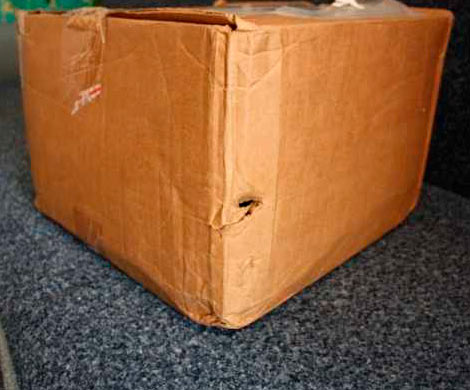 В Абакане из-за подозрительной коробки эвакуировали детский сад