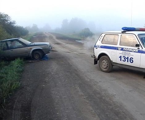 В Алтайском крае пьяные угонщики попросили полицию вытащить угнанное авто из кювета