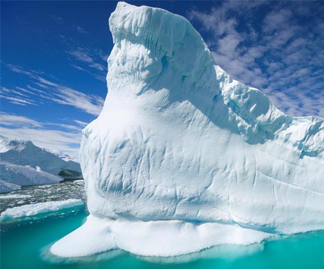 В антарктических льдах нашли опасный токсин