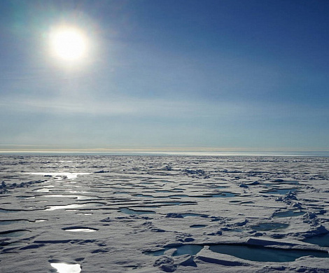 В Арктике обнаружена «климатическая бомба»