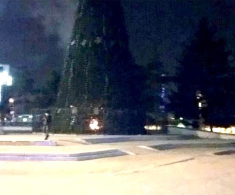 В Благовещенске из-за замыкания загорелась главная ёлка В Благовещенске из-за замыкания загорелась главная ёлка