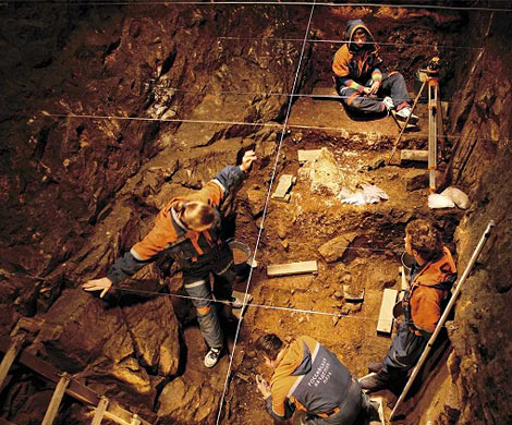В Денисовой пещере на Алтае нашли кости древней ослозебры‍