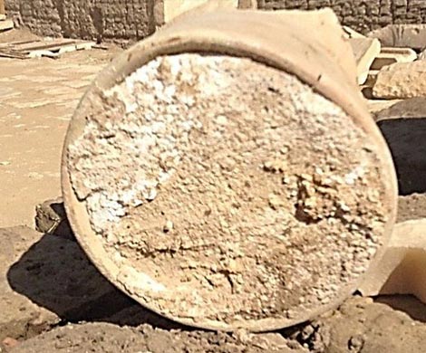 В Египте обнаружен сыр возрастом более 3000 лет