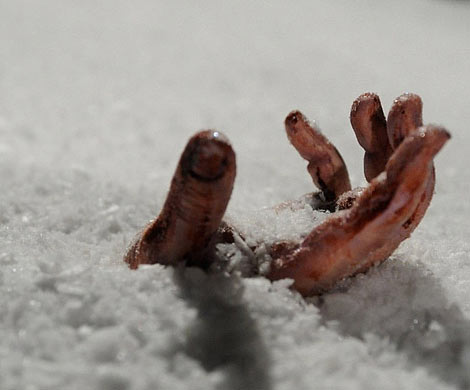 В Гатчинском районе мужчина замерз насмерть на улице