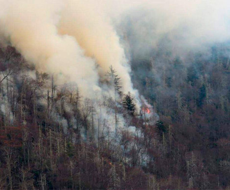 В Калифорнии в лесных пожарах погибли уже более 10 человек, еще 100 пропали без вести