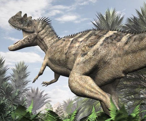 В Китае было обнаружено мясо динозавра