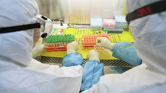 В Китае начнутся тестирования на людях вакцины Covid-19